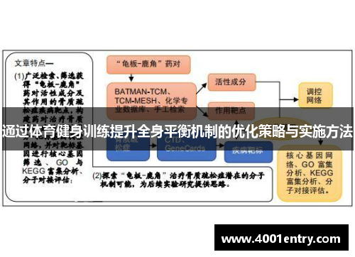 通过体育健身训练提升全身平衡机制的优化策略与实施方法