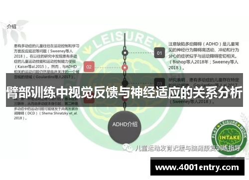 臂部训练中视觉反馈与神经适应的关系分析