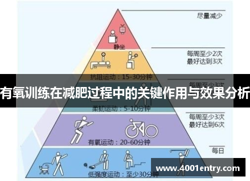 有氧训练在减肥过程中的关键作用与效果分析